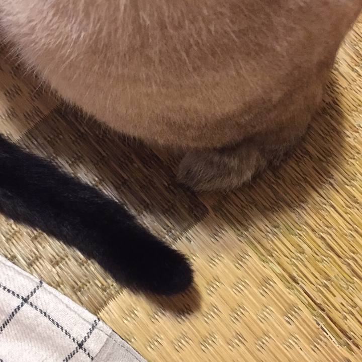 F291928b 5e6a 4cbb ab98 10a143d81db3