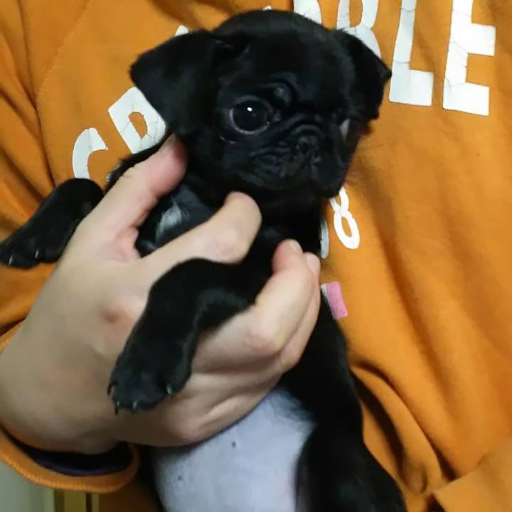 F291d99a 2d3c 492e a7fe 090346045d38