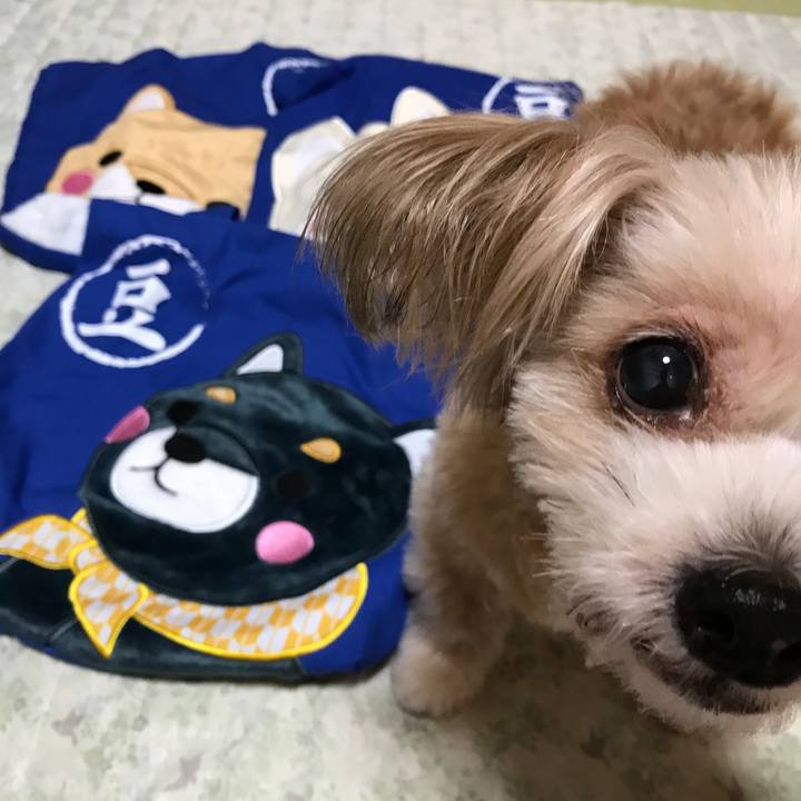 F2927206 ddb2 4418 be67 99bc3ecbb0e7