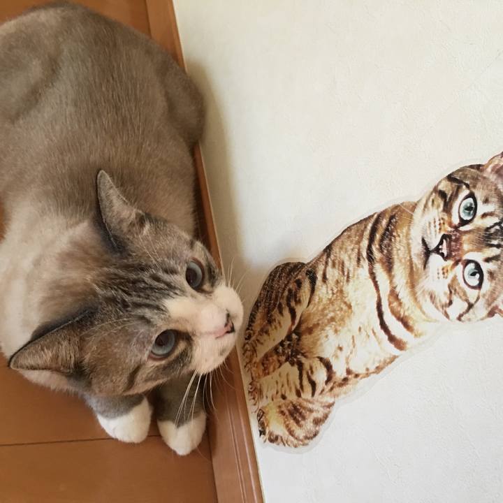 F292b345 bdcc 43e7 b68d e50ad76a7d5b