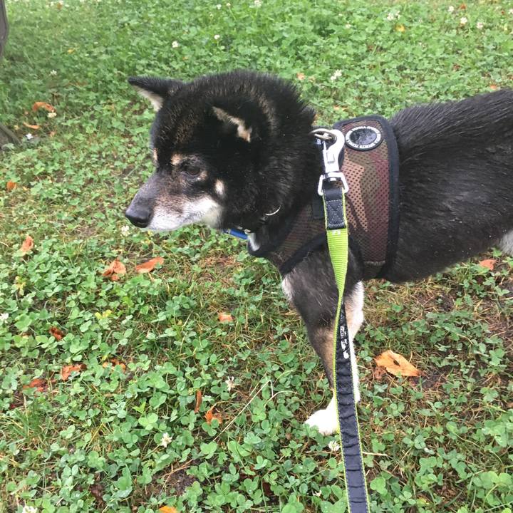 F2931c13 e34e 4ae0 8d50 348665df2bc2