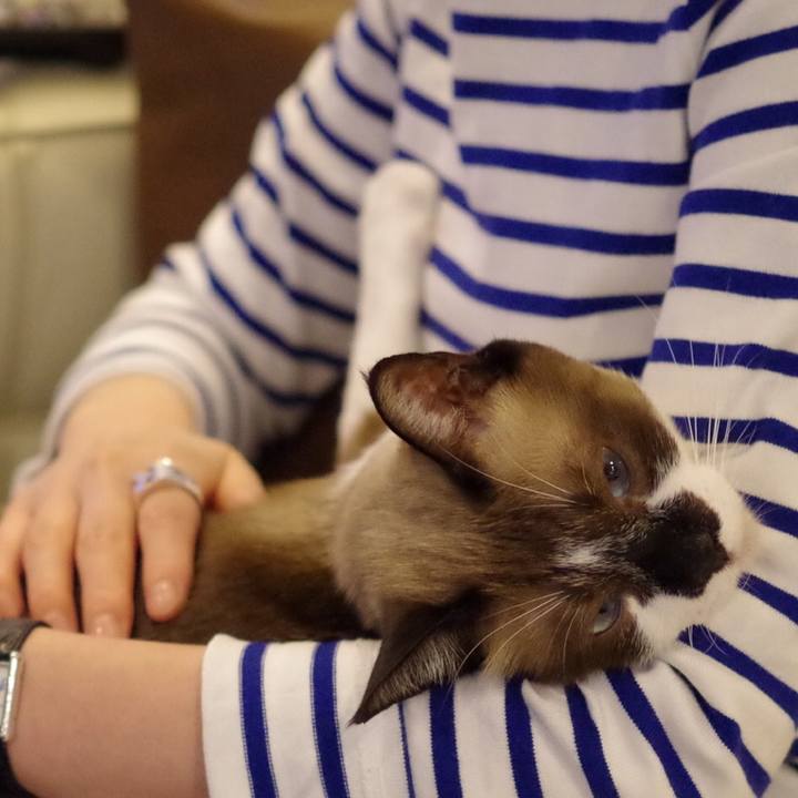 F293de3f 8670 4602 aa7b 8e37e0e9df51