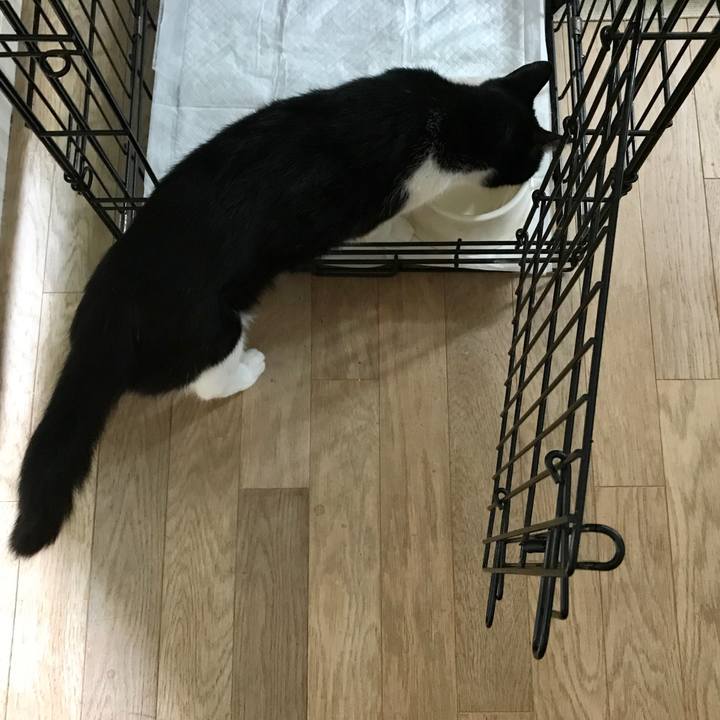 F2946d8b bb2e 48e2 92b7 c9f23eed961b