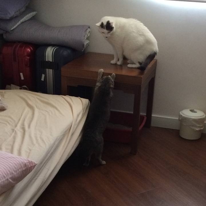 F29475c4 ab93 4fb8 a76f 79ab7f9b4c69