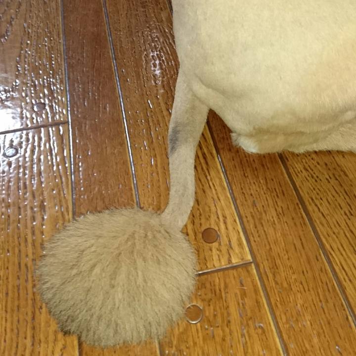 F294f465 32fa 455e 9a26 375b0a32f475