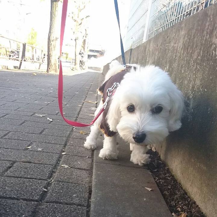 F295d91c 135f 4327 ac6f 585ed2ed53ae