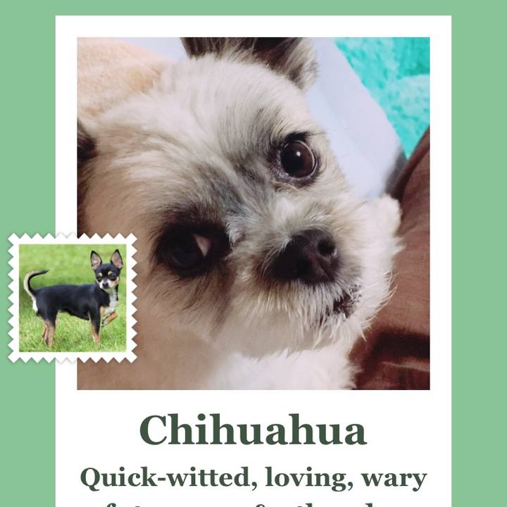 F29636ed e23a 48ee ae6e dfe0b6ebbc64