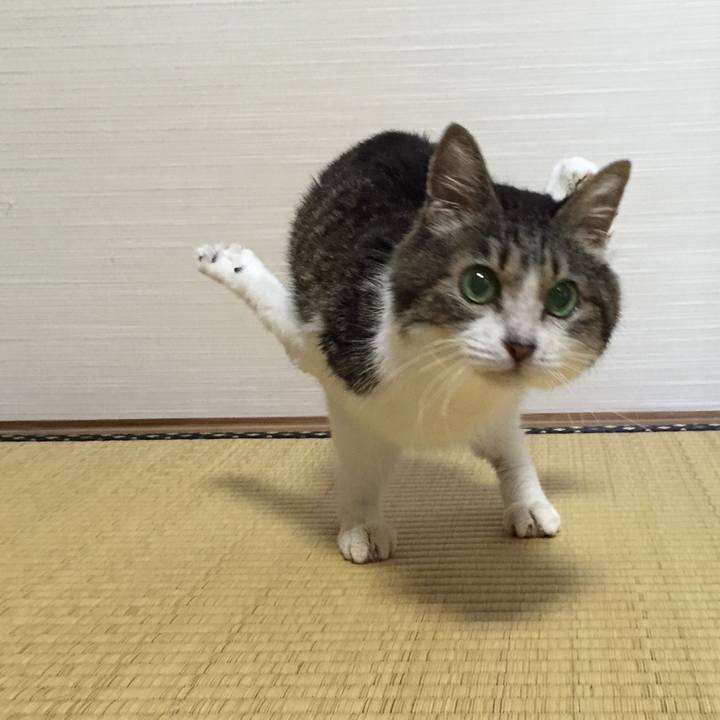 F2965bed cfb7 4eb2 9ea4 d951c3e5a967