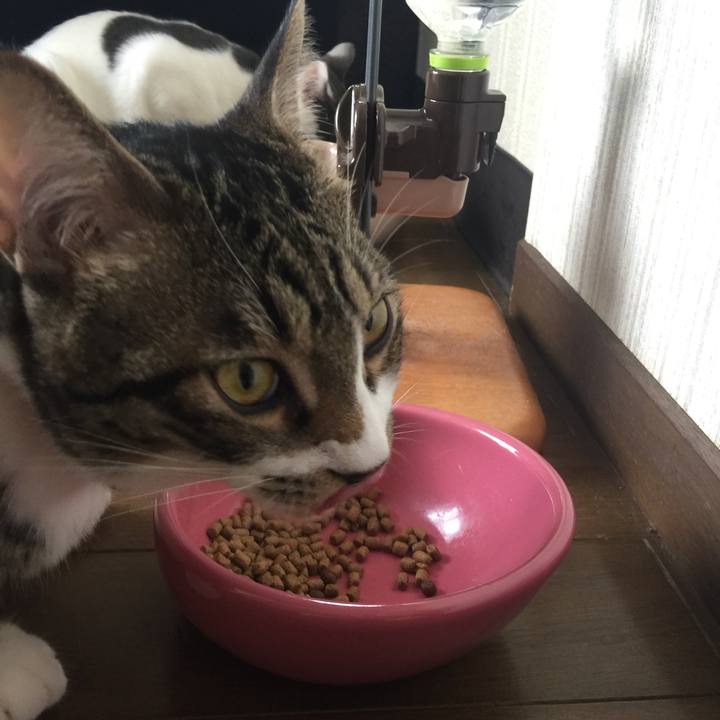 F2968176 f370 482b 93b6 e10ca423ef71