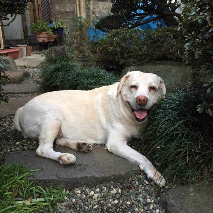 F2969cc0 dfdd 499b a4ff 35654f0a7203