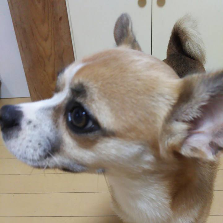 F296cf81 9f08 47eb 8bd1 0dec06f59bc8