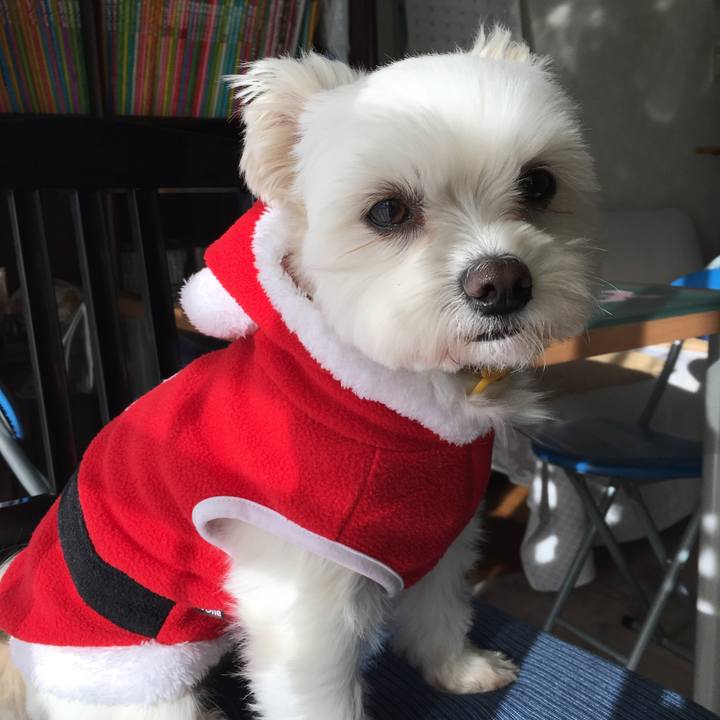 F296fe04 c9a8 4d3a b724 b4ef383b2b4f