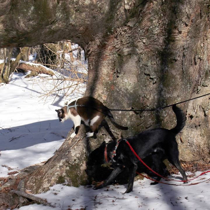 F2977792 08d9 4841 b09f 02a4c684deef