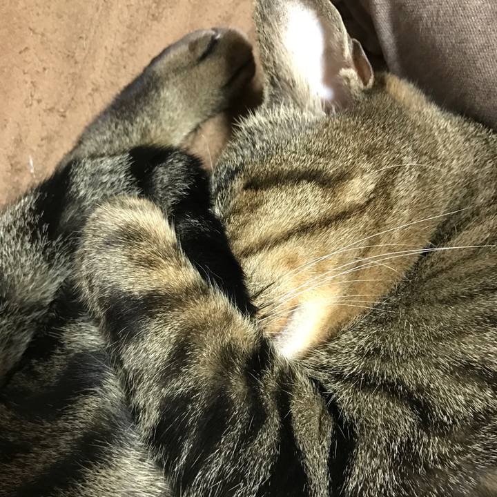 F297978d a853 481c 8756 005a8bad6d46