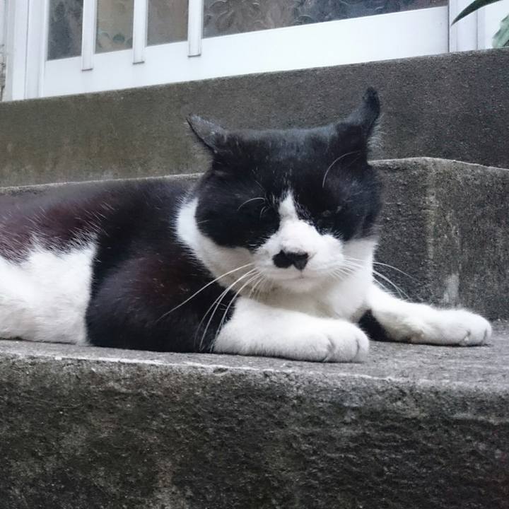 F297cd18 900d 4ce9 9039 48d74528cd85