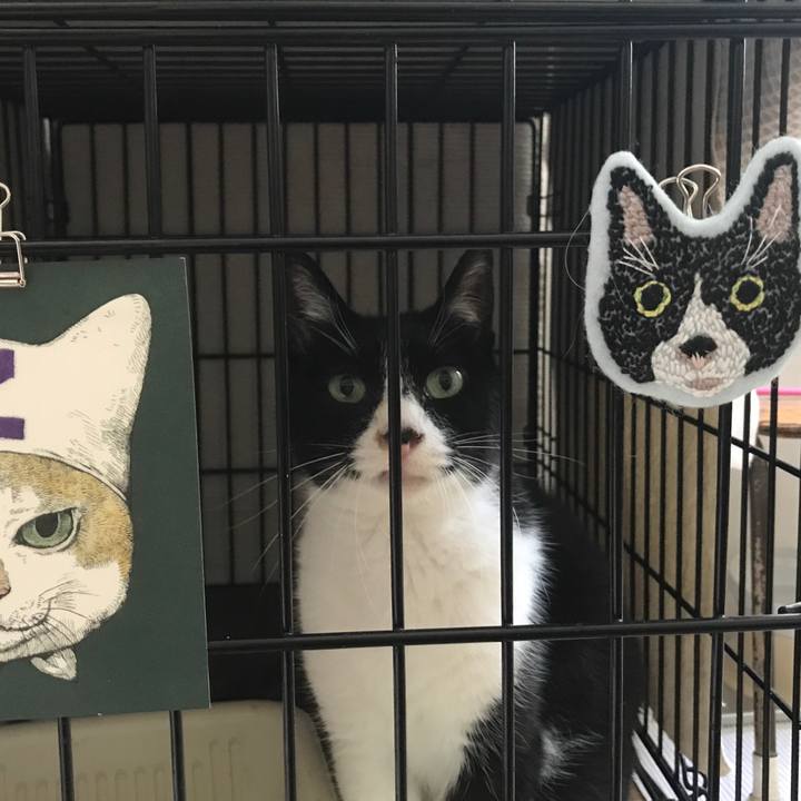 F29845aa 8f1b 4447 92d5 4c698bd2dfc0