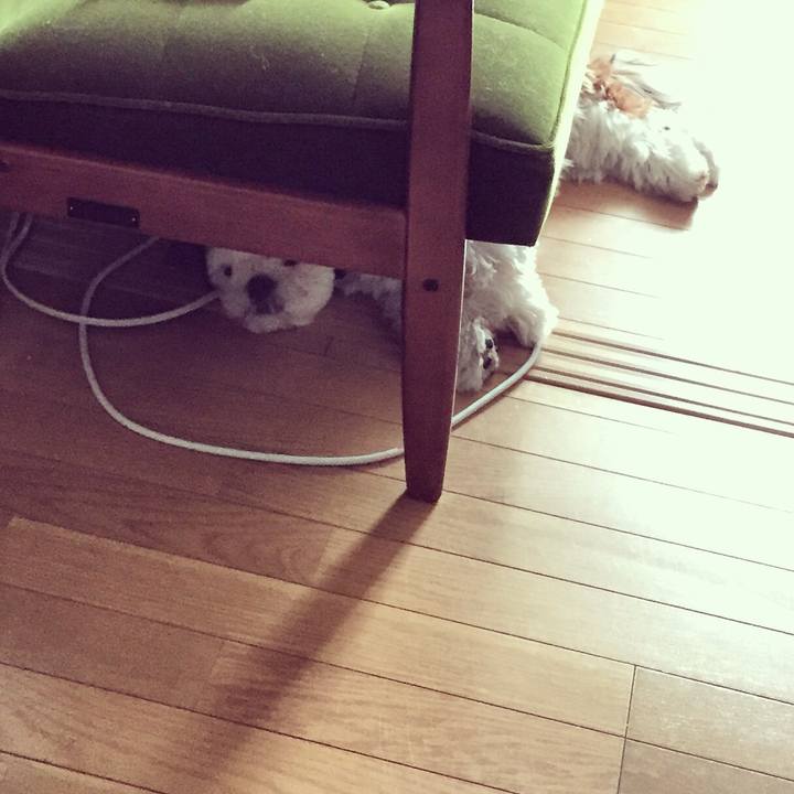 F29918d0 5d1e 4a76 8c3b 0b77af25fe2f