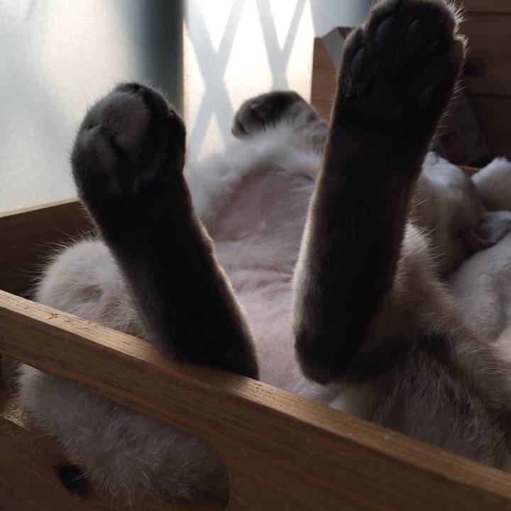 F2996a42 52ec 48d0 8430 17fb6b199696