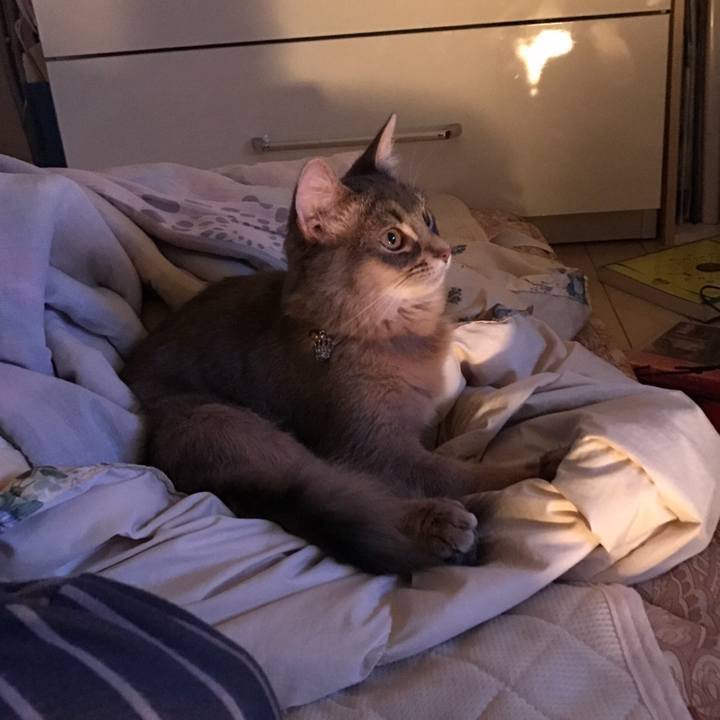 F29a6393 cda7 4d27 ad3c 97a291456074