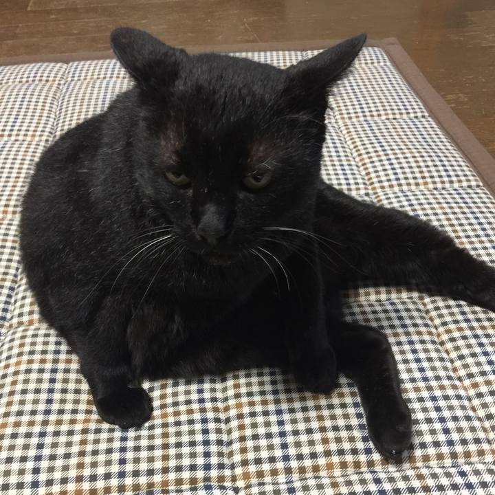 F29ab6cd 6f13 4d83 b209 9fcfe6ed80d8