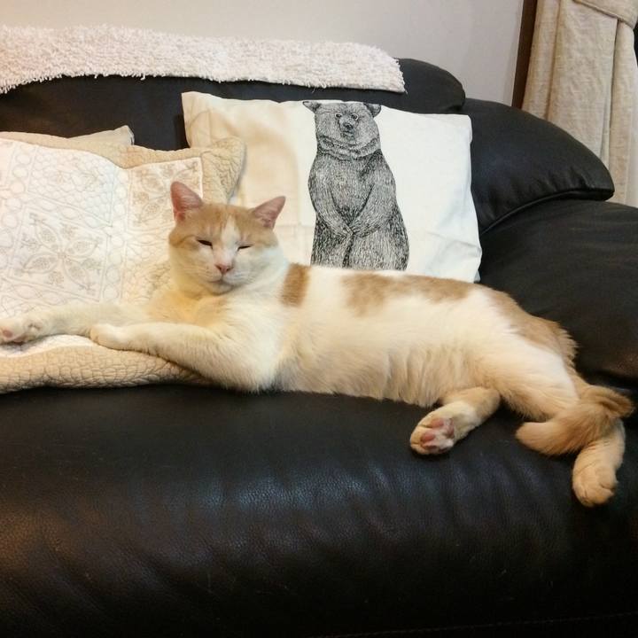 F29ada6b 6f7e 4fac 8618 7e9e61dfb8b4