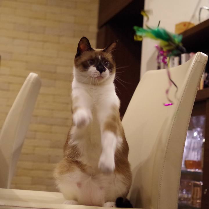 F29b0fcc 2684 4caf b11e df7886076c76