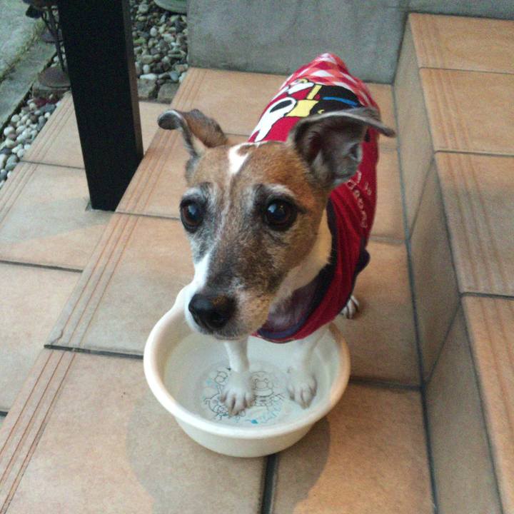 F29b188b 44bf 4171 8f53 97154a0db652