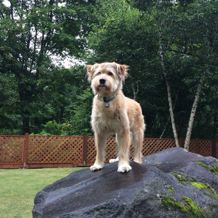 F29b7f49 c91d 40a1 900b 350390fde22d