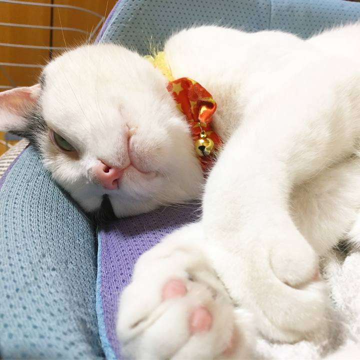 F29c0e0f 3a97 4e78 824d 45292f2b2505