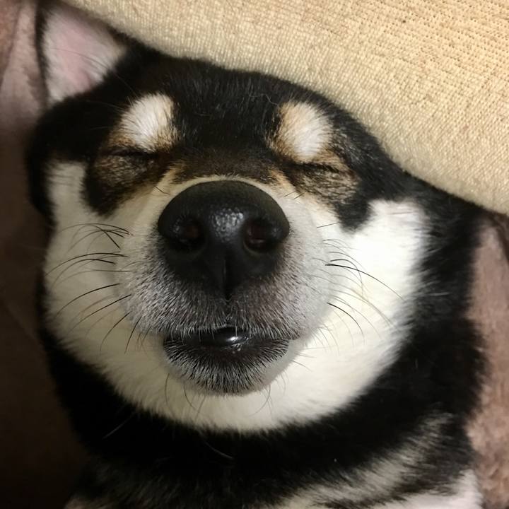 F29c5d9d 465b 41ef 8b43 67cdaa83b97c