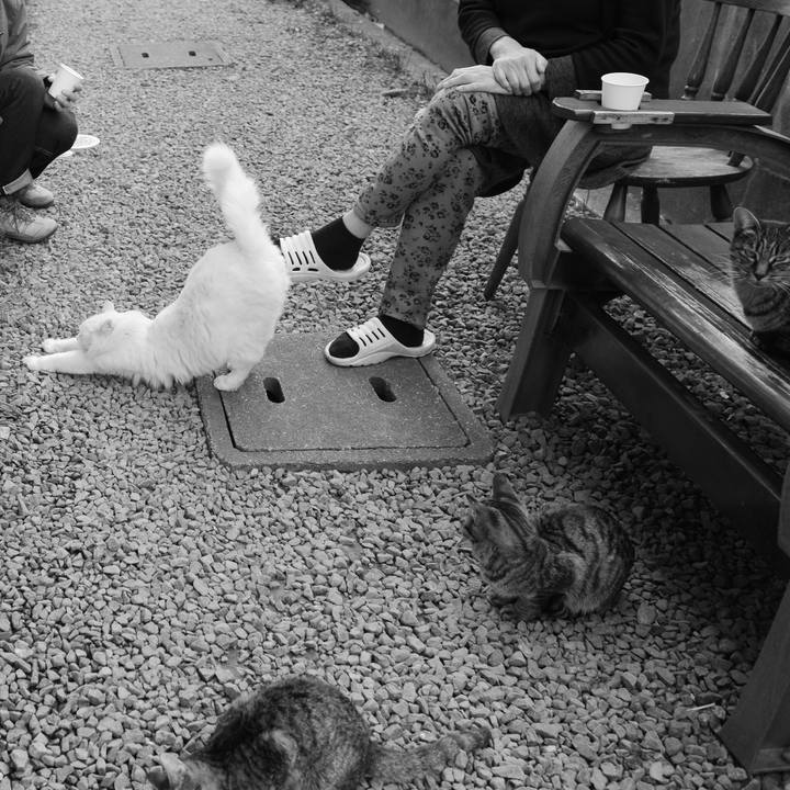 F29cbe0a 5751 40f1 963b 37f2932615e3