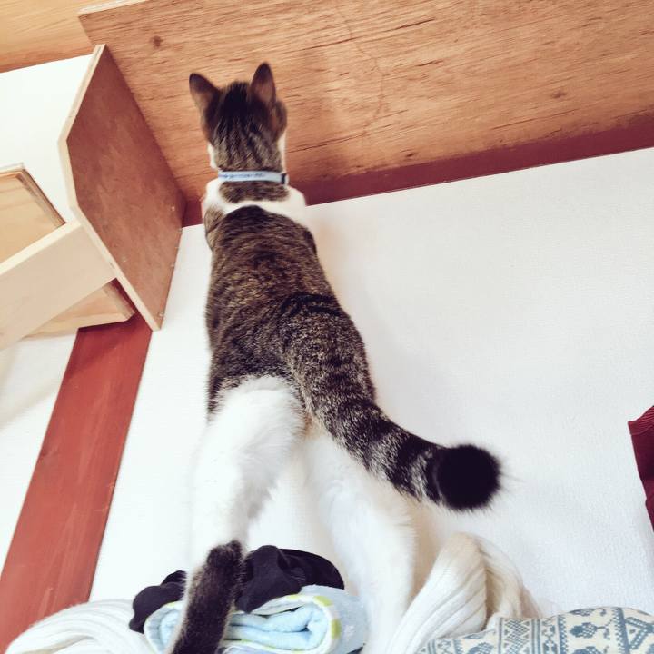 F29cdd80 9983 4c11 88b4 ddb3ad8d2c24