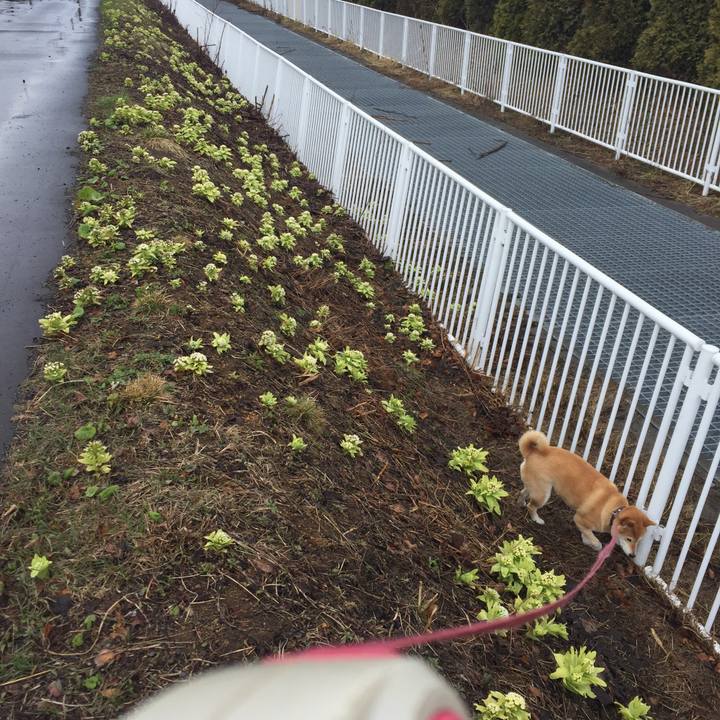 F29d2183 d390 474c 9312 0d07ac1e1aa6