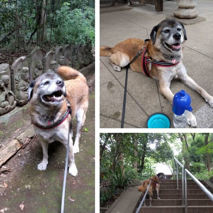 F29da99e e2b3 4be6 8dfd 5d51598d2f15