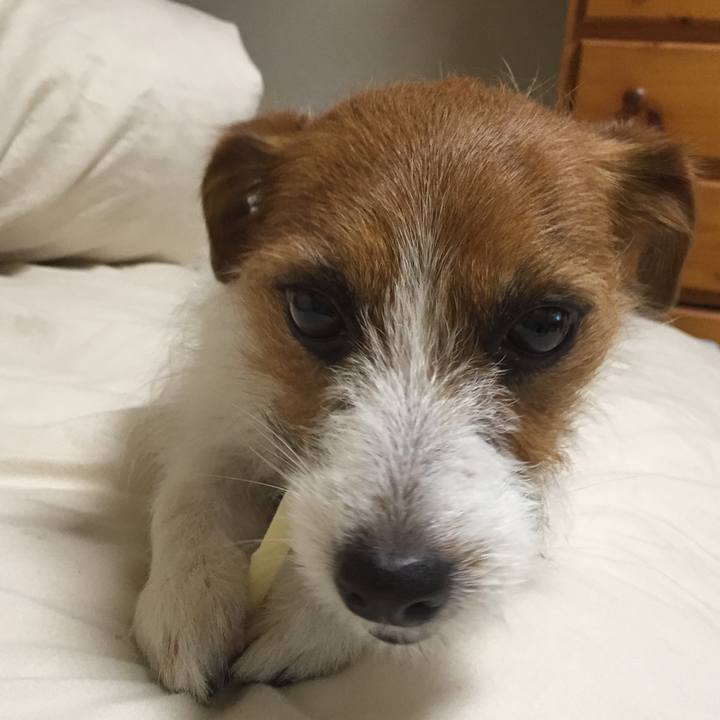 F29ef584 15b5 4de2 bc36 0aaa4cfd74f3