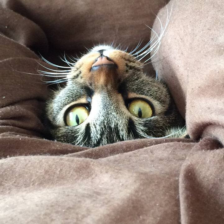 F29f553f 1aa8 4a08 9aae 277dbb1909d6