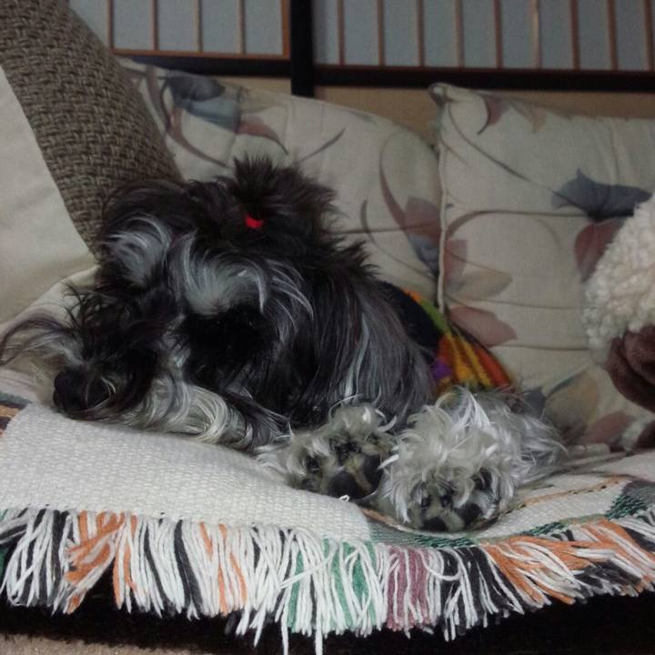 F29f83cb 9c0d 4676 aaf8 eaa60fbafaf5