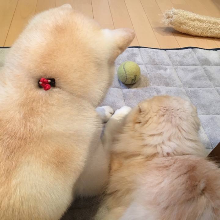 F2a05285 ebbb 4125 a53c bf5236f0351f