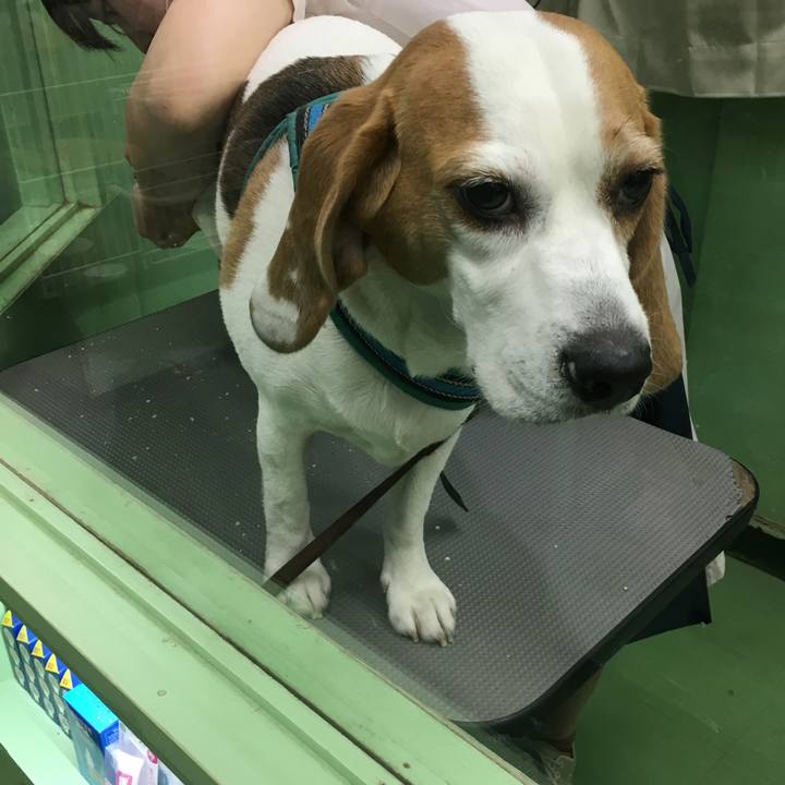 F2a0c4a9 c4cb 4a0b a98c 926aae2f4cf8