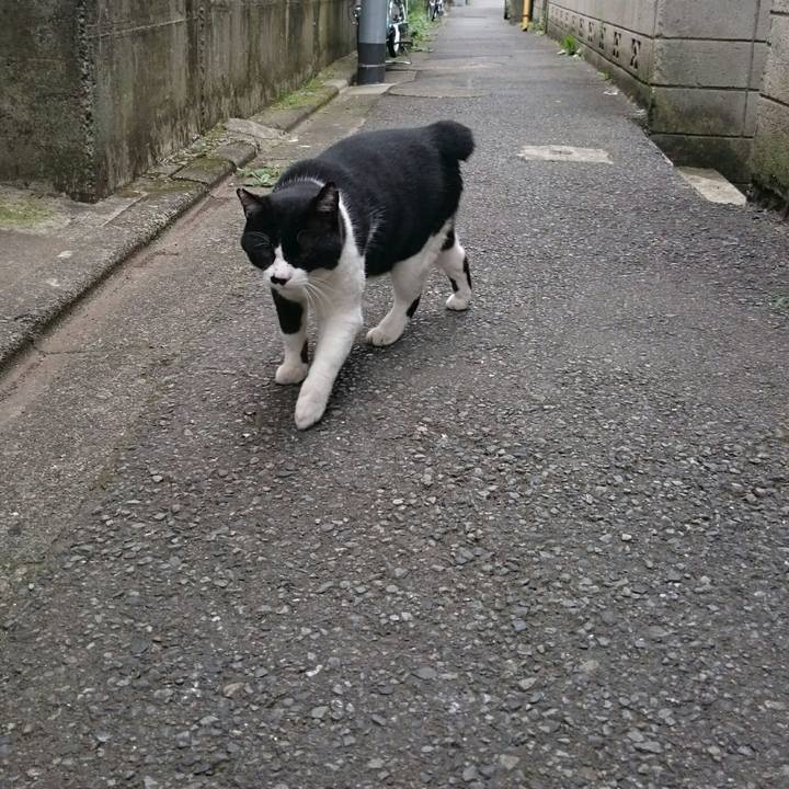 F2a14874 c320 438d ada9 0f285efe6307