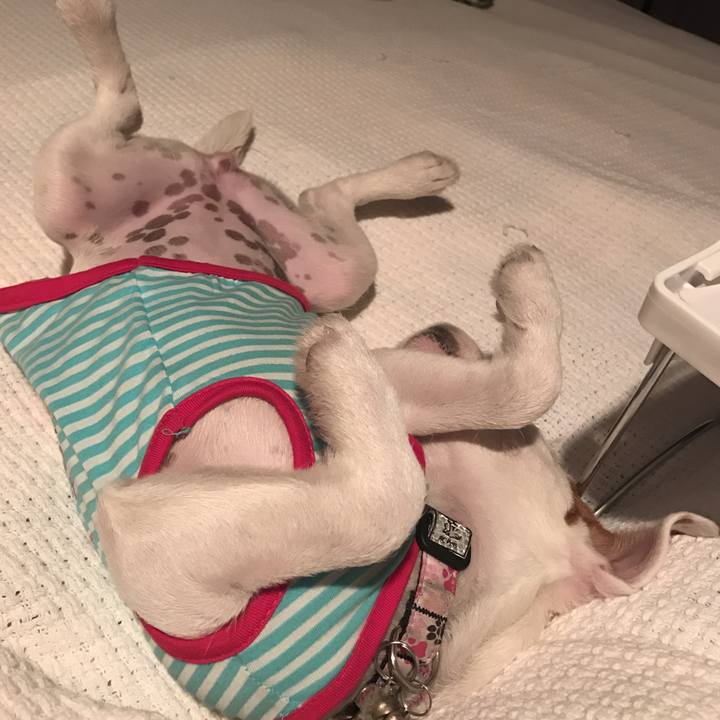 F2a15320 5115 4a52 9a4f e063bf57c941