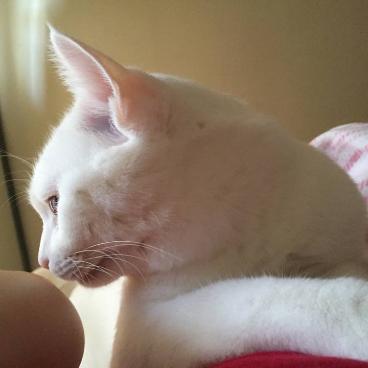 F2a20e71 0370 4f9b 9f9a 447051ff7582