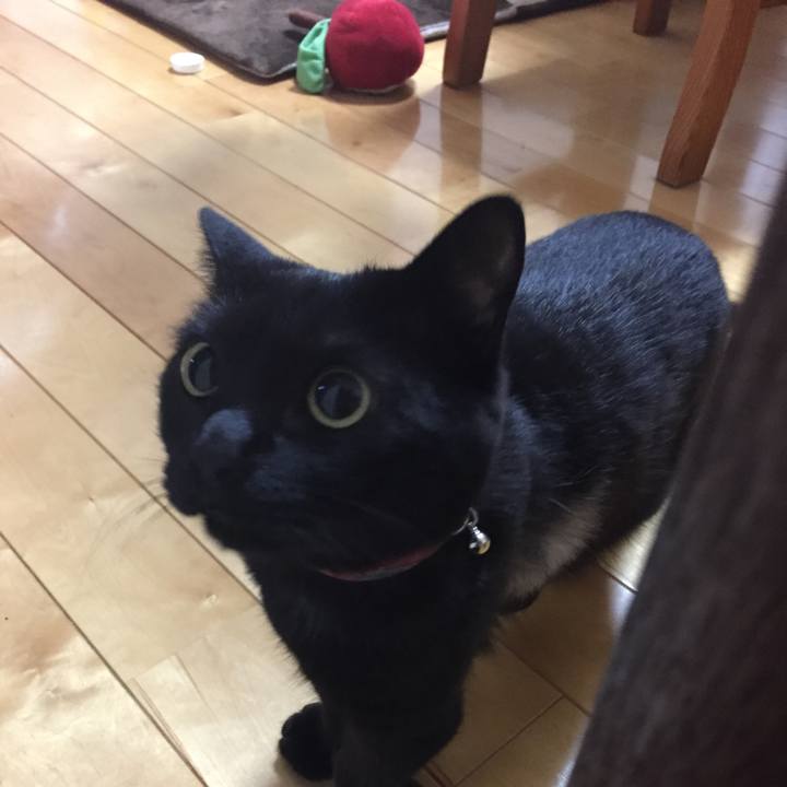 F2a23437 aaf0 4579 aa1c 02114d2a41ee