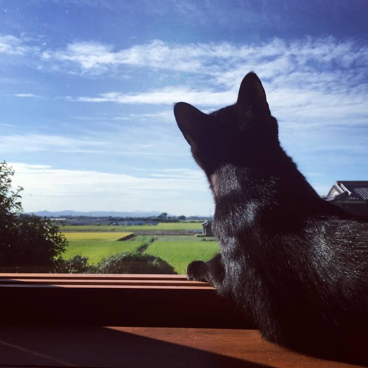 F2a279a8 60d3 4601 8714 ba99ec2e77c8