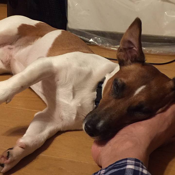 F2a33223 d0aa 4091 a6dc a2652290d2cb