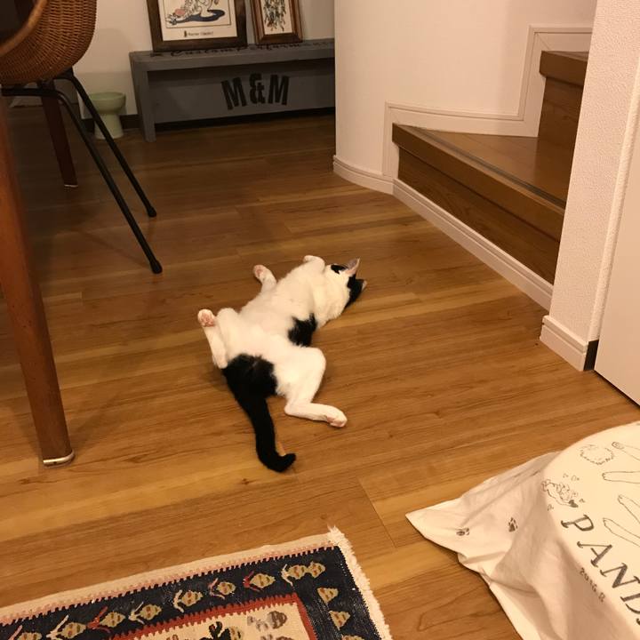 F2a3f2a3 d18d 4f29 80fc 2ea6de091cff