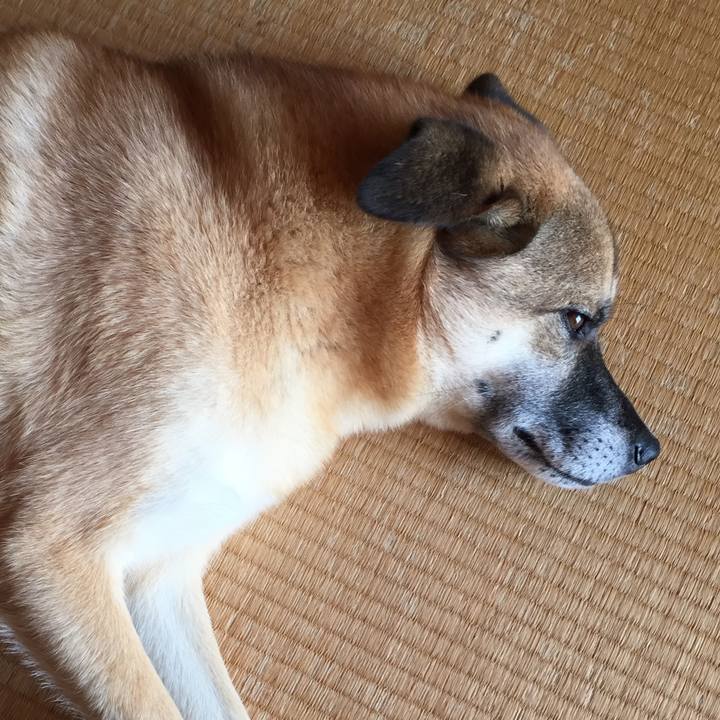 F2a3ffb2 857f 40c0 82e4 286f619a70d9