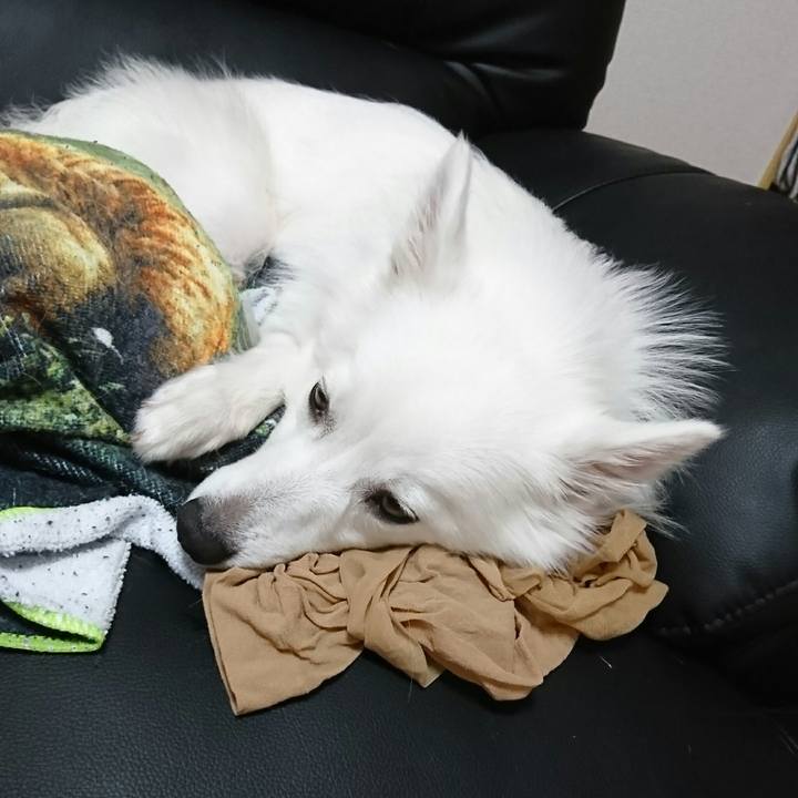 F2a463e1 4270 4071 880e 4b2566ee2e96