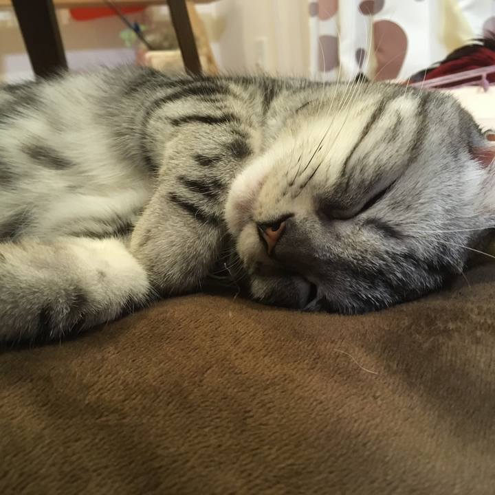 F2a47a44 3837 4d78 8781 69b9b821f44a