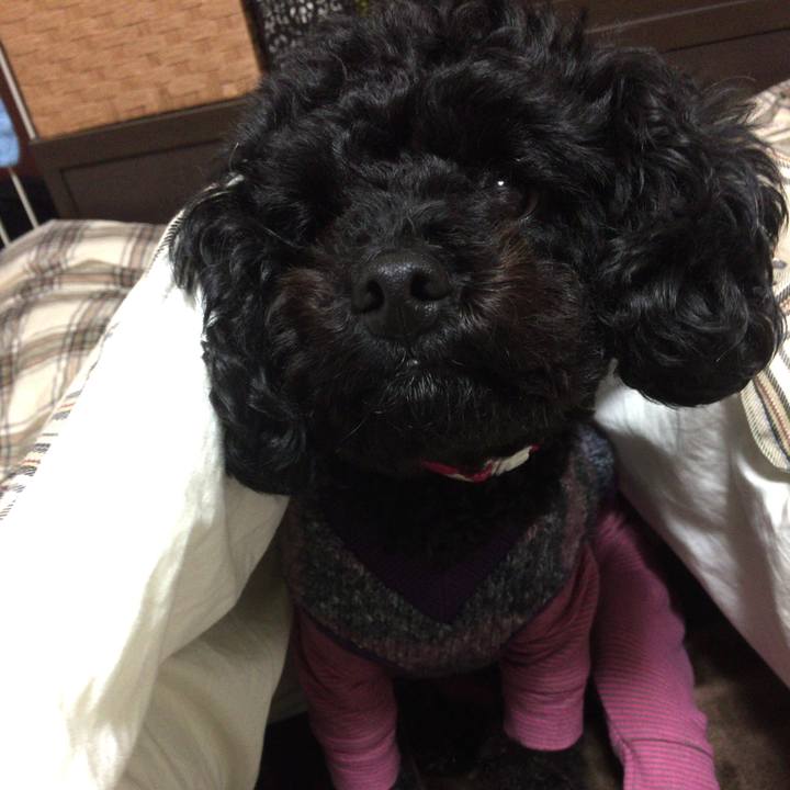 F2a5b3fd 52e4 4dfa ba9d c00fe3733812